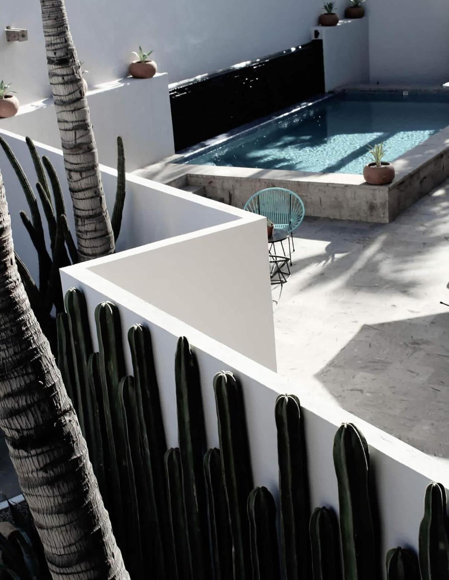 4 Charming Suite King Rooms In Luxurious Boutique Hotel San José del Cabo Екстериор снимка